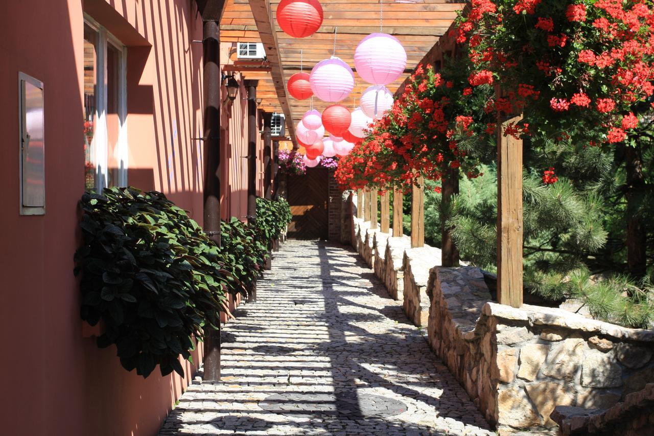 Hotel Restauracja Pustelnik Wisla Mala エクステリア 写真